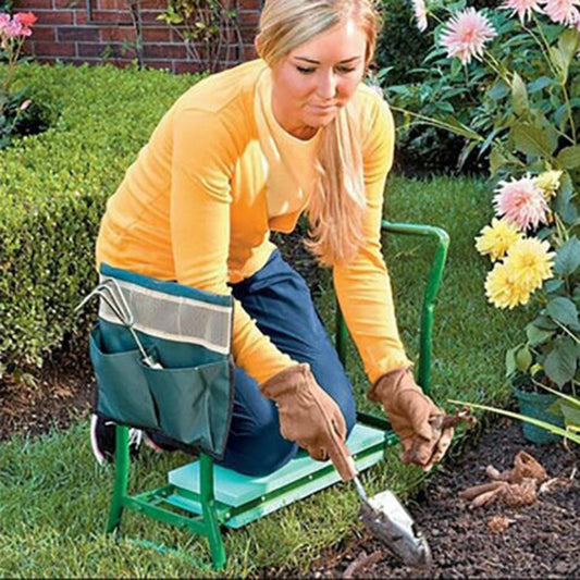 gid://shopify/MediaImage/42585810993304